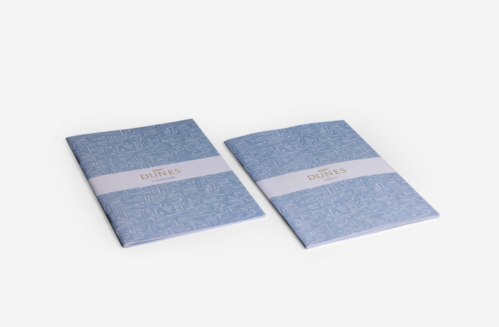 magazine sani dunes