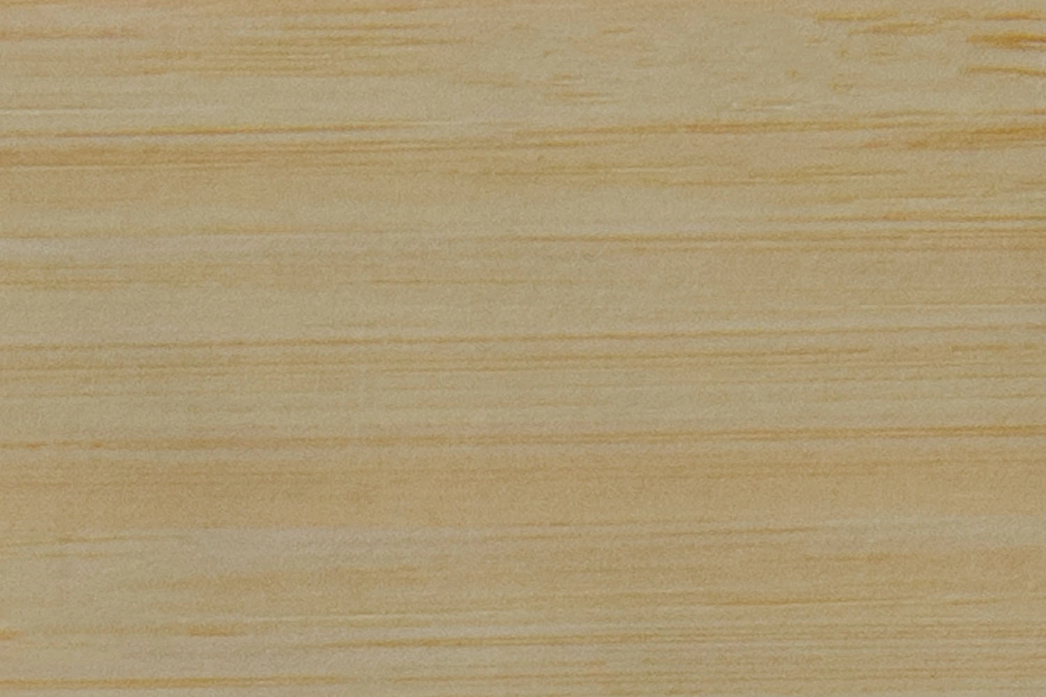 BAMBOO