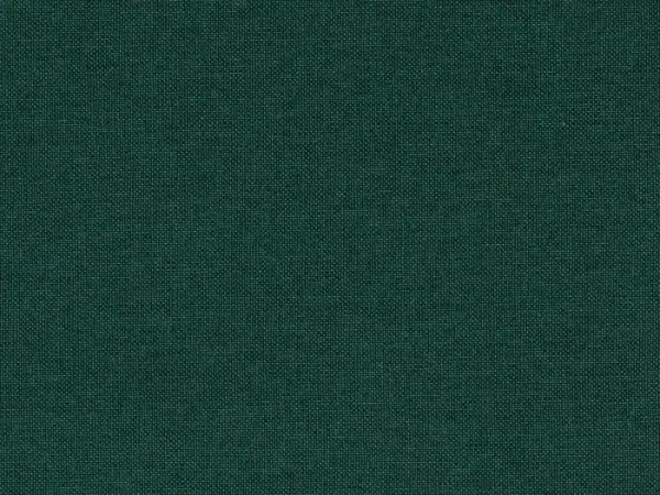 BRI4047-TANNENGRUN