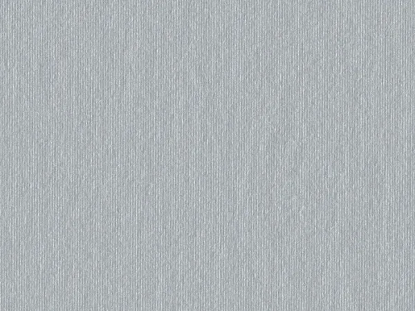 CSE4501-SILVER