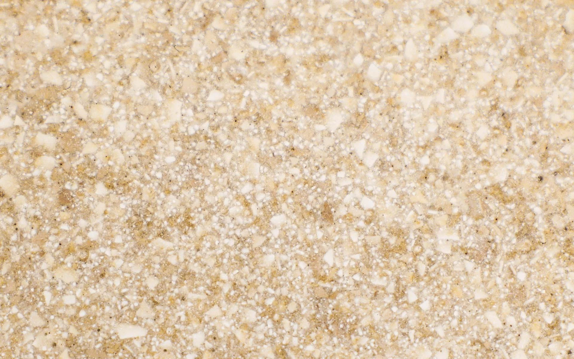 EGGSHELL