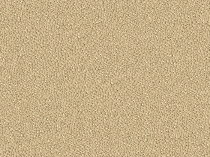 EPM63032-CAMEL