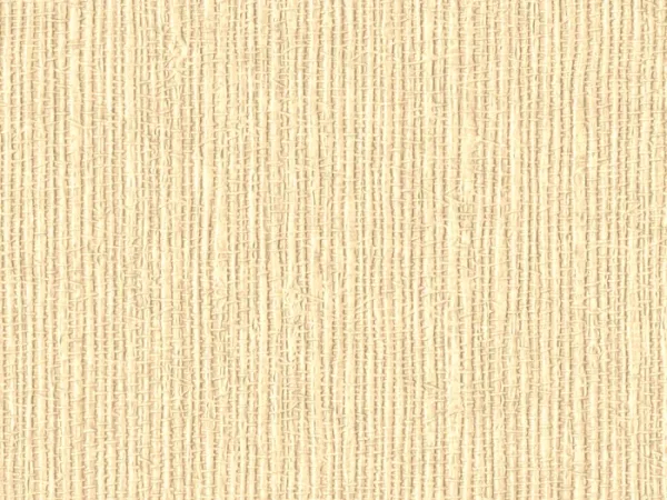 NAB2013-CREAM