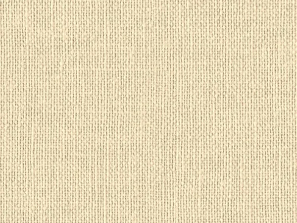 NAC8013-CREAM