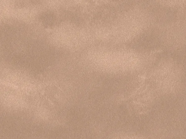 SLG4536-COQUILLAGE