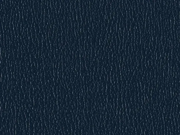 SXS5251-BLUE