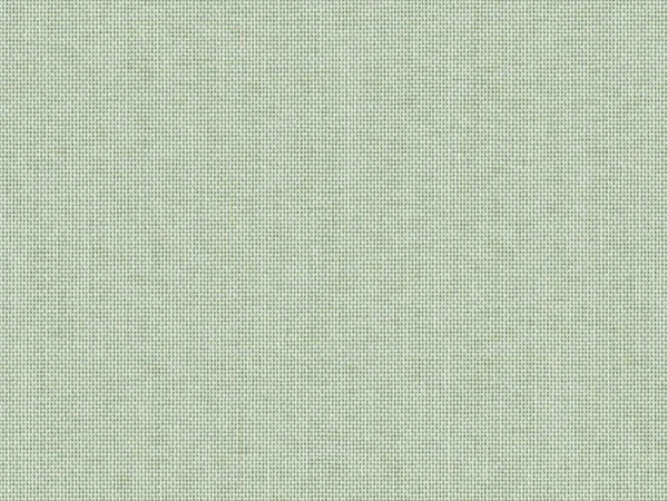 TOC31042-ALGUE