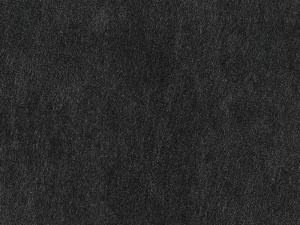 WCA11399-NOIR