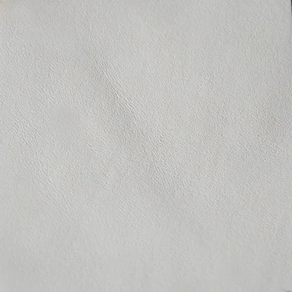WHITEL100