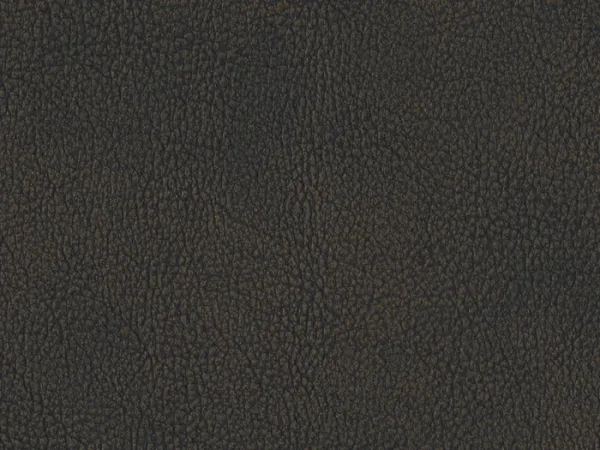 WNV3050-BRONZE