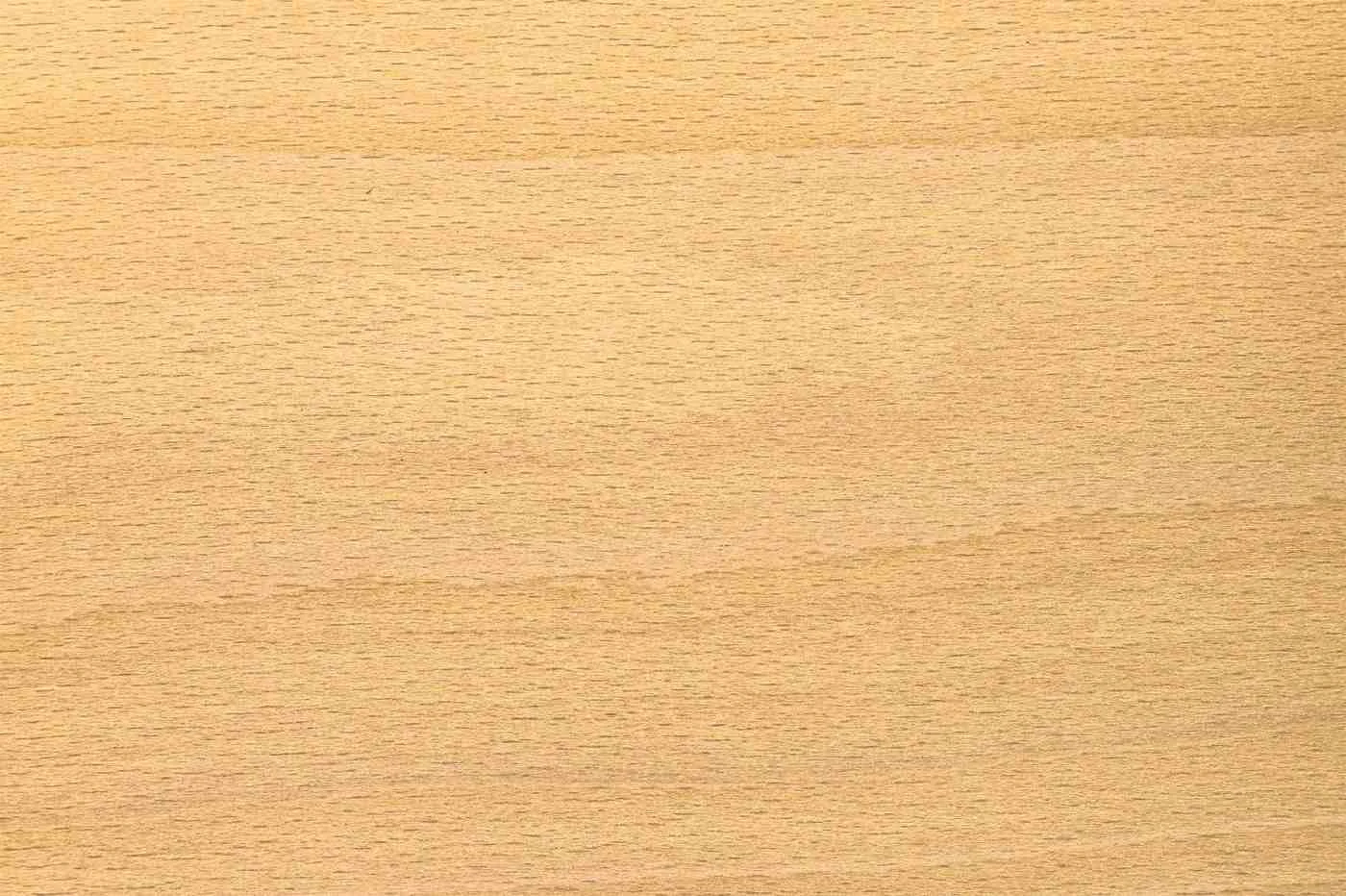 WP-VR-BEECH