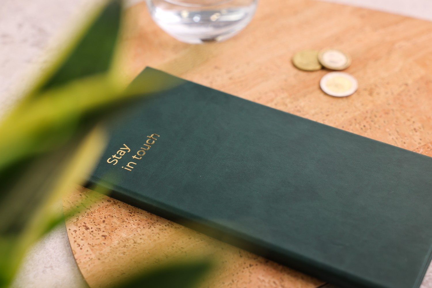 hard bill folder olivar